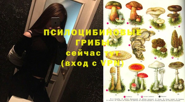 меф Гусь-Хрустальный