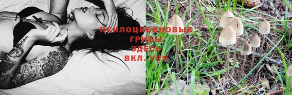 мет Гусиноозёрск