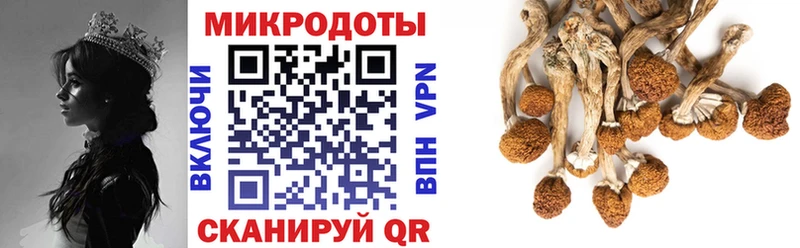 Псилоцибиновые грибы GOLDEN TEACHER  Купить где  Тетюши 